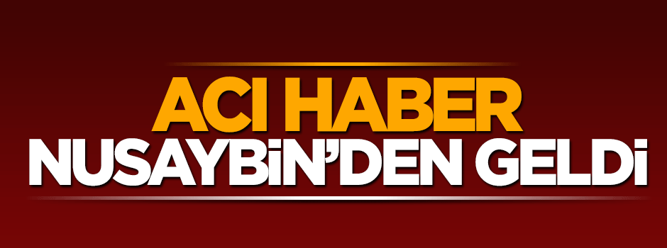 Nusaybin'den acı haber: 1 şehit, 2 yaralı