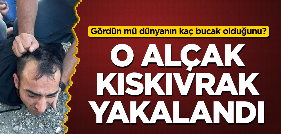 O alçak kıskıvrak yakalandı! Gördün mü dünyanın kaç bucak olduğunu?