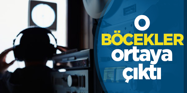 O böceklerin fotoğrafları ortaya çıktı