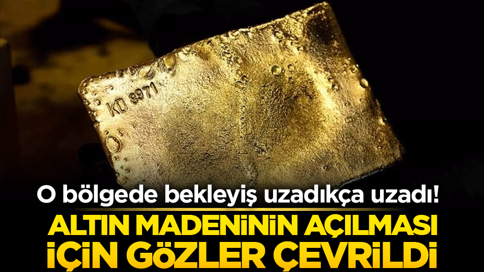 O bölgede bekleyiş uzadıkça uzadı! Altın madeninin açılması için gözler çevrildi