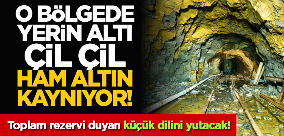 O bölgede yerin altı çil çil ham altın kaynıyor! Toplam rezervi duyan küçük dilini yutacak!