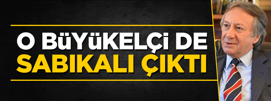 O büyükelçi de sabıkalı çıktı