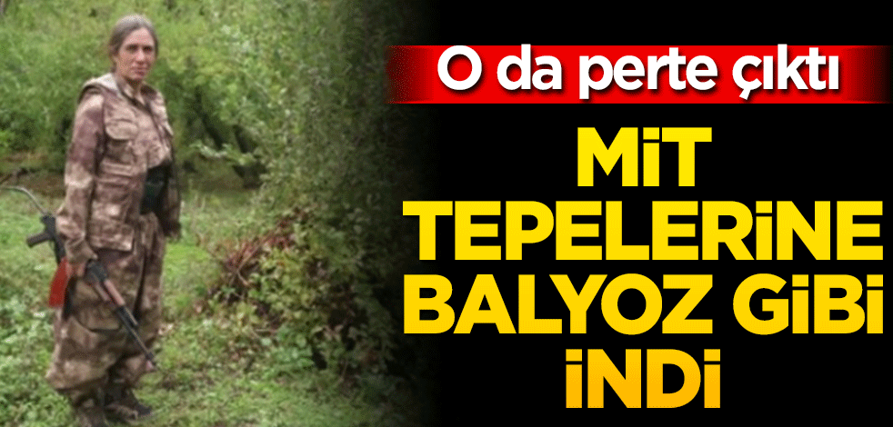 O da perte çıktı! MİT balyoz gibi indi tepelerine...