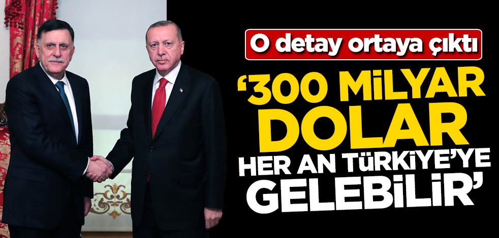 O detay ortaya çıktı! '300 milyar dolar her an Türkiye'ye gelebilir'