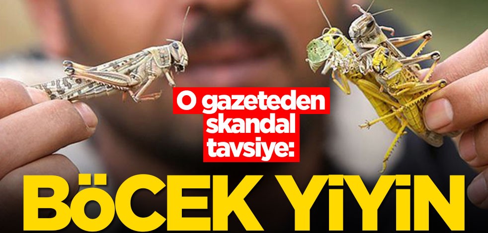 O gazeteden skandal tavsiye: Böcek yiyin