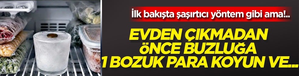 O hamle neyi gösterir! Evden çıkmadan önce buzluğa 1 bozuk para koyun ve...