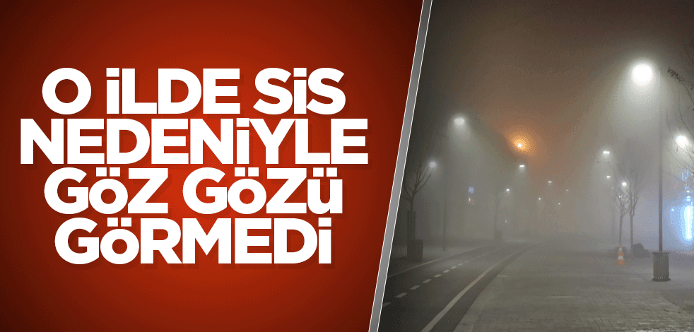 O ilde sis nedeniyle göz gözü görmedi