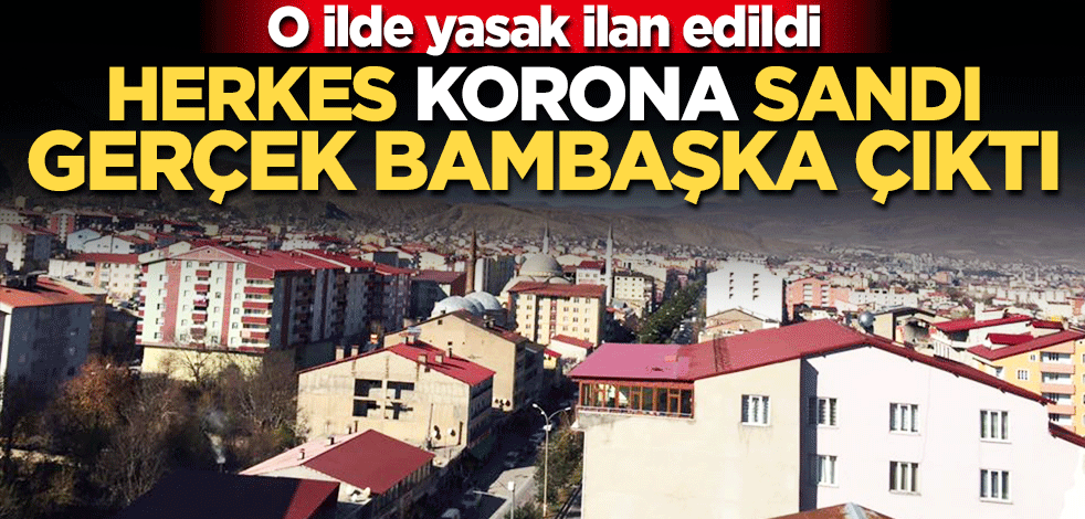Tatvan'da yasak ilan edildi! Herkes korona sandı gerçek bambaşka çıktı
