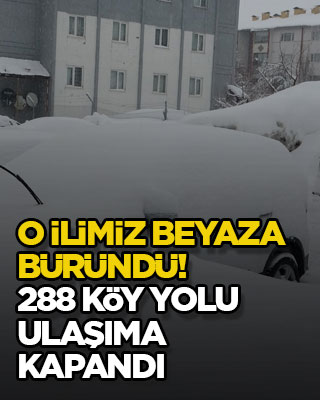 O ilimiz beyaza büründü! 288 köy yolu ulaşıma kapandı