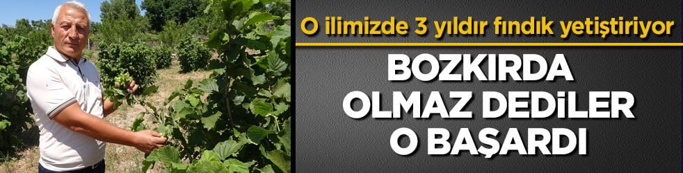 O ilimizde 3 yıldır fındık yetiştiriyor! Bozkırda olmaz dediler, o başardı