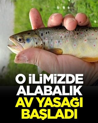 O ilimizde alabalık av yasağı başladı