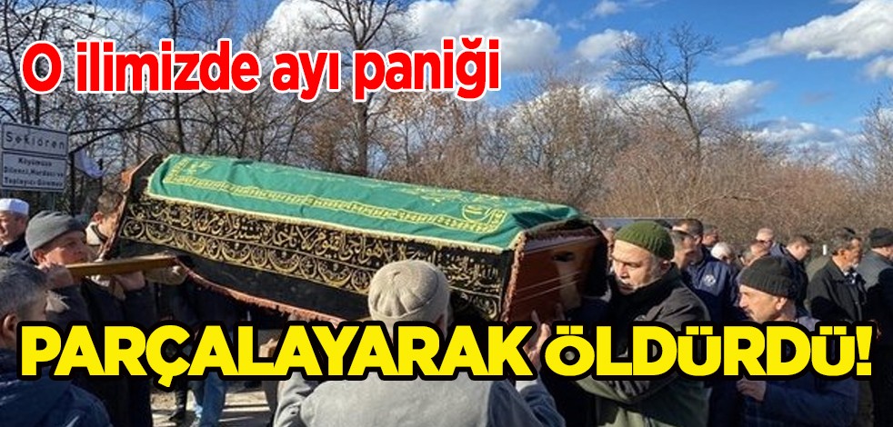 O ilimizde ayı paniği! Korkunç olay: Emine Nine’yi parçalayarak öldürdü! Acil olarak gereken yapılsın