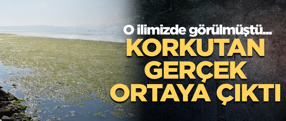 O ilimizde görülmüştü... Korkutan gerçek ortaya çıktı