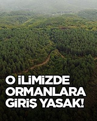 O ilimizde ormanlara giriş yasak!