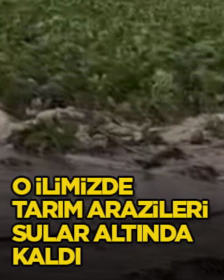 O ilimizde tarım arazileri sular altında kaldı