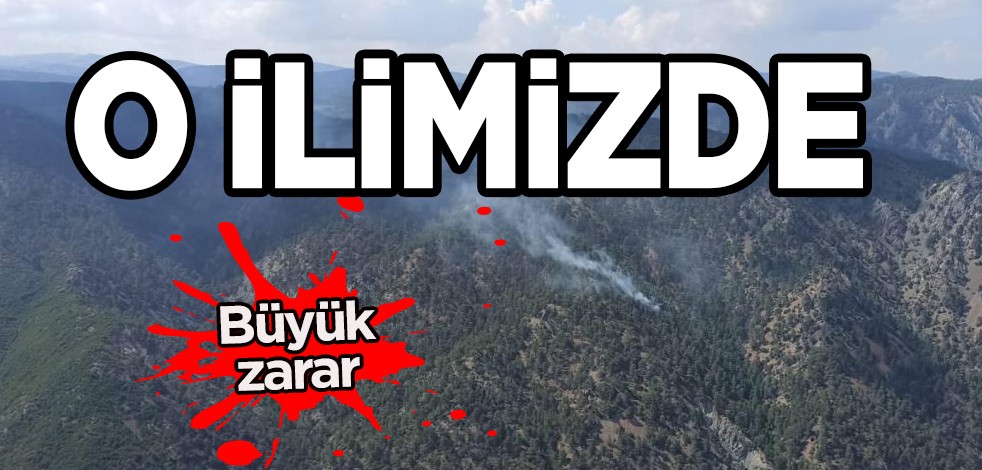 O ilimizden çıkan yangın... İlçedeki herkesi korku sardı: Resmen ormanlık alan zarar gördü!
