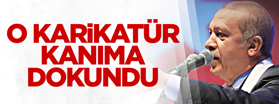 O karikatür kanıma dokunuyor