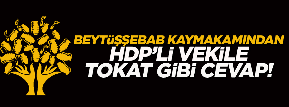 O kaymakamdan HDP'li vekile sert tepki!