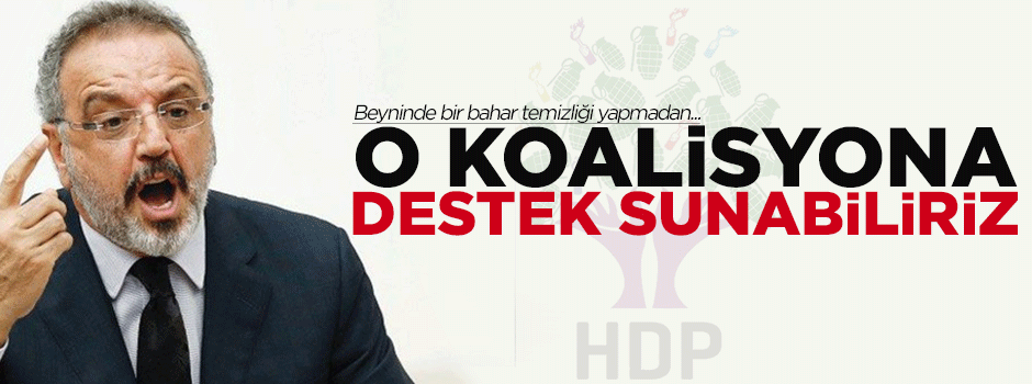 O koalisyona destek sunabiliriz