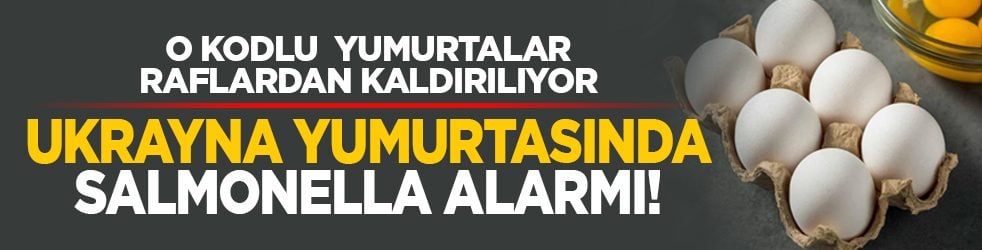O kodlu yumurtalar raflardan kaldırılıyor: Ukrayna yumurtasında salmonella alarmı! 