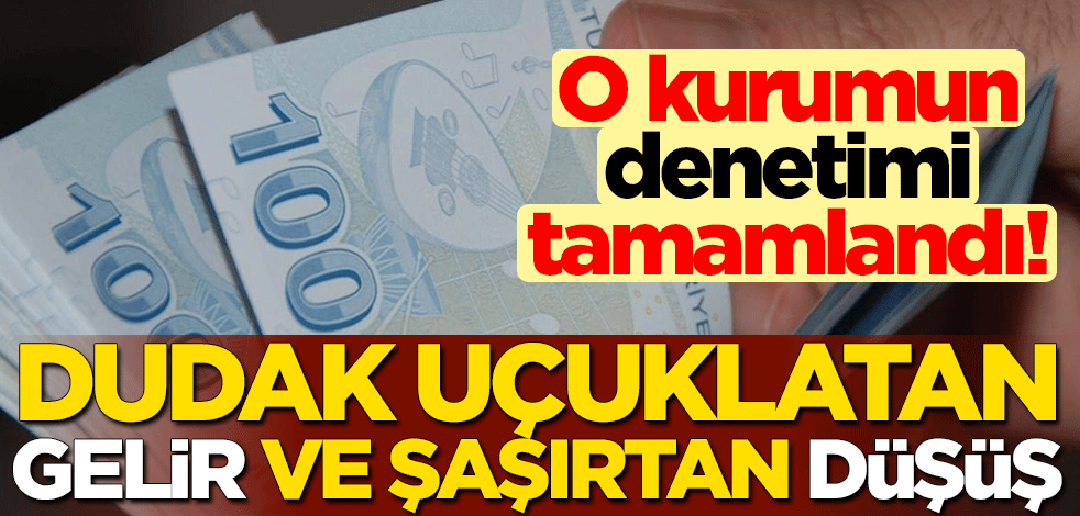 O kurumun denetimi tamamlandı! Dudak uçuklatan gelir ve şaşırtan düşüş