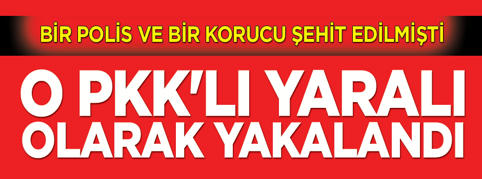 O PKK’lı yaralı yakalandı