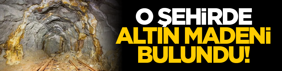 O şehirde altın madeni bulundu!