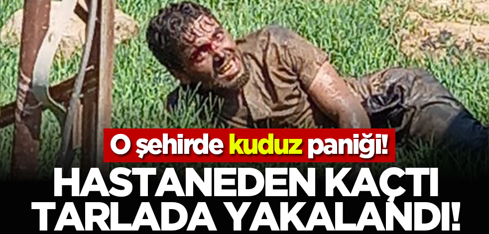 O şehirde kuduz paniği! Hastaneden kaçtı, tarlada yakalandı!
