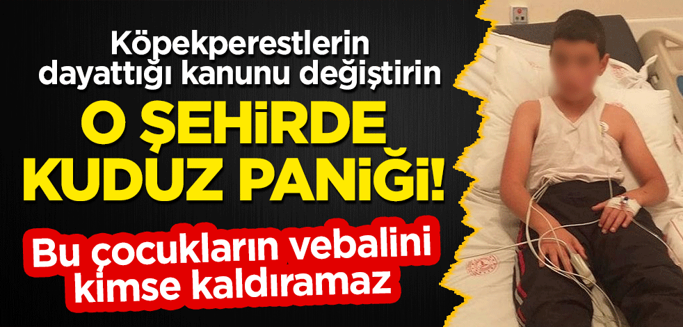 O şehirde kuduz paniği! Köpekperestlerin dayattığı kanunu değiştirin!