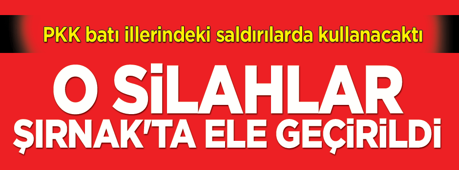 O silahlar Şırnak'ta ele geçirildi