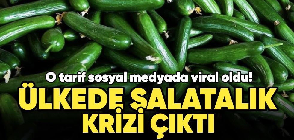 O tarif sosyal medyada viral oldu! Ülkede salatalık krizi çıktı