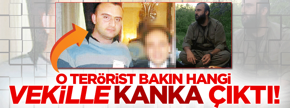 Öldürülen terörist HDP'li Baydemir'in kankasıymış