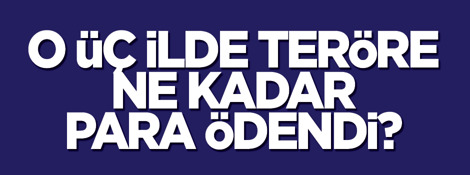 O üç ilde terör mağdurlarına ne kadar ödendi?