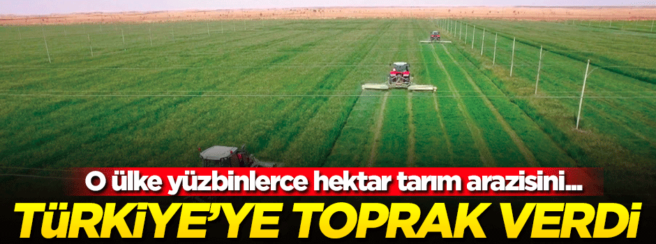 O ülke Türklere yüzbinlerce hektar toprak verdi!