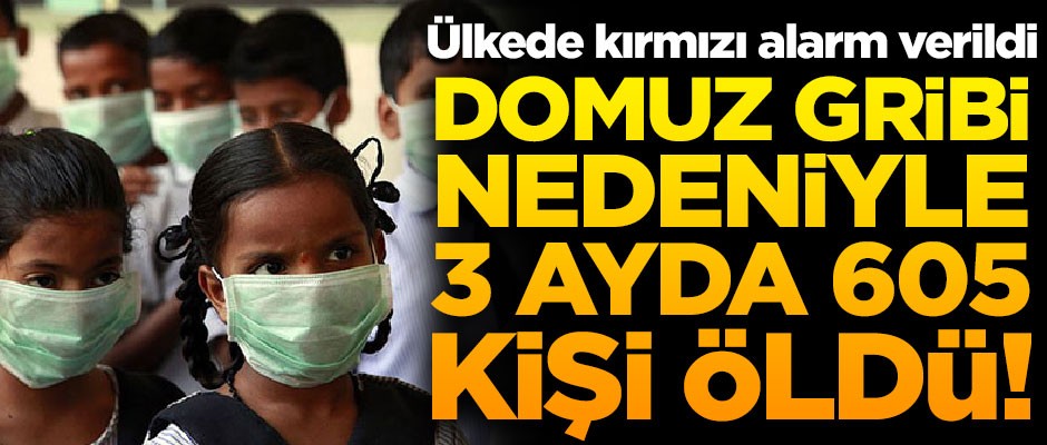 O ülkede kırmızı alarm verildi! Domuz gribi, 3 ayda 605 can aldı