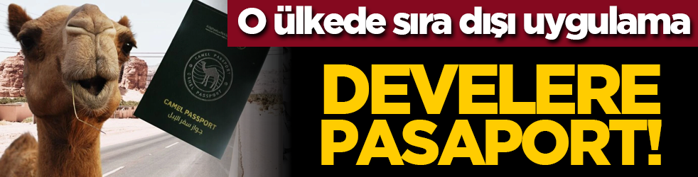 O ülkede sıra dışı uygulama: Develere pasaport!