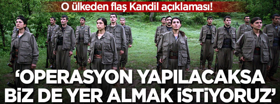 O ülkeden flaş Kandil açıklaması! 'Operasyon yapılacaksa biz de yer almak istiyoruz'