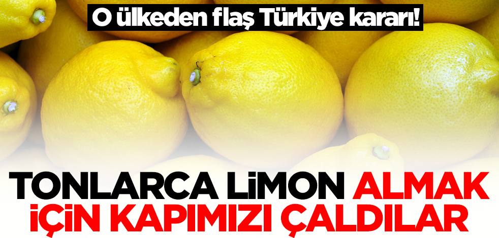 O ülkeden şaşkına çeviren Türkiye kararı! Tonlarca limon almak için kapımızı çaldılar