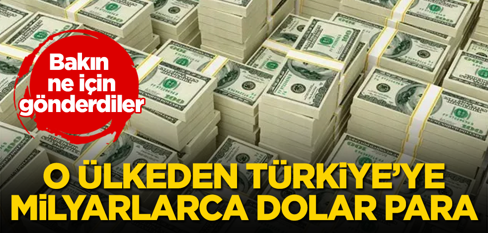 O ülkeden Türkiye'ye milyarlarca dolar para! Bakın ne için gönderdiler