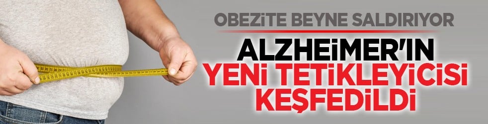 Obezite beyne saldırıyor: Alzheimer'ın yeni tetikleyicisi keşfedildi