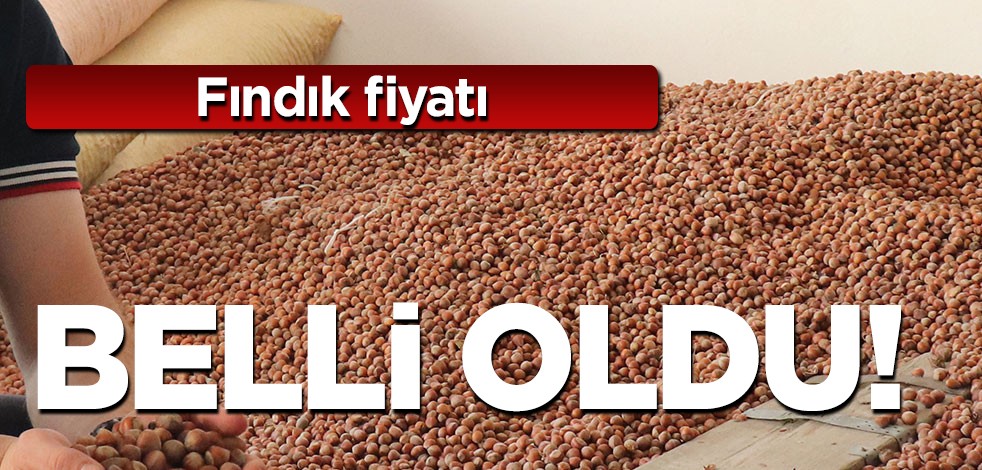 Ocak 2024 yılı fındık fiyatı: 95-100 TL ilan edildi! Karar: Türkiye'ye Başkanı duyurdu! Son satış rakamları