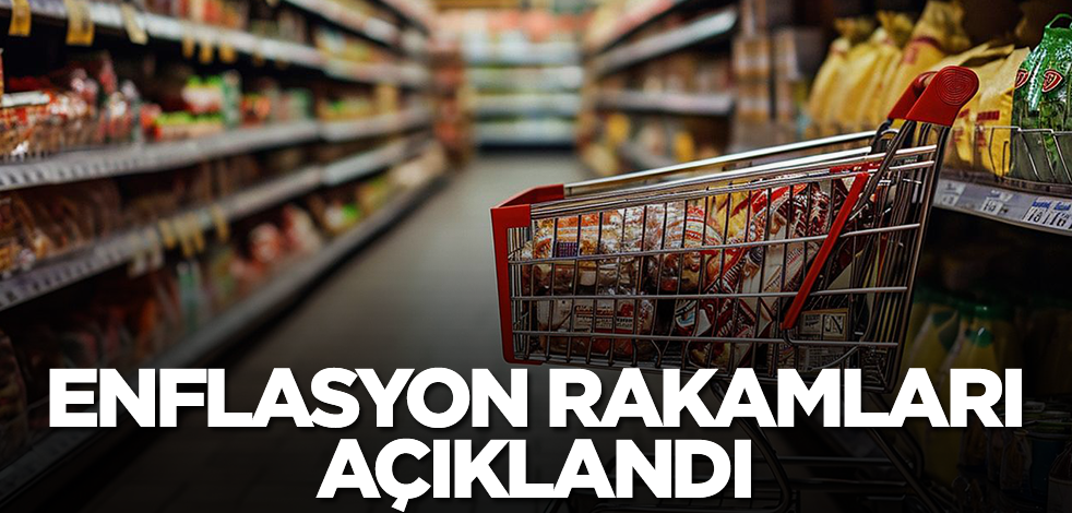 Ocak ayı enflasyon rakamları açıklandı