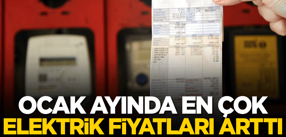 Ocak ayında en çok elektrik fiyatları arttı