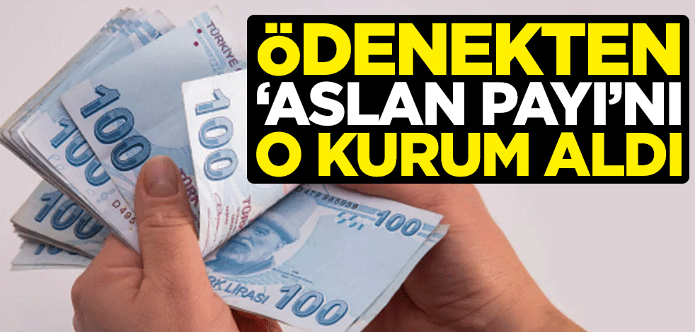 Ödenekten "aslan payı"nı o kurum aldı