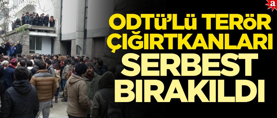 ODTÜ'lü terör çığırtkanları serbest bırakıldı