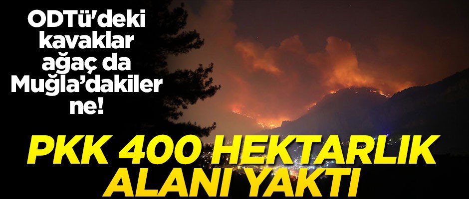 ODTÜ'yü savunanlar Muğla'ya sessiz! PKK 400 hektarlık alanı yaktı