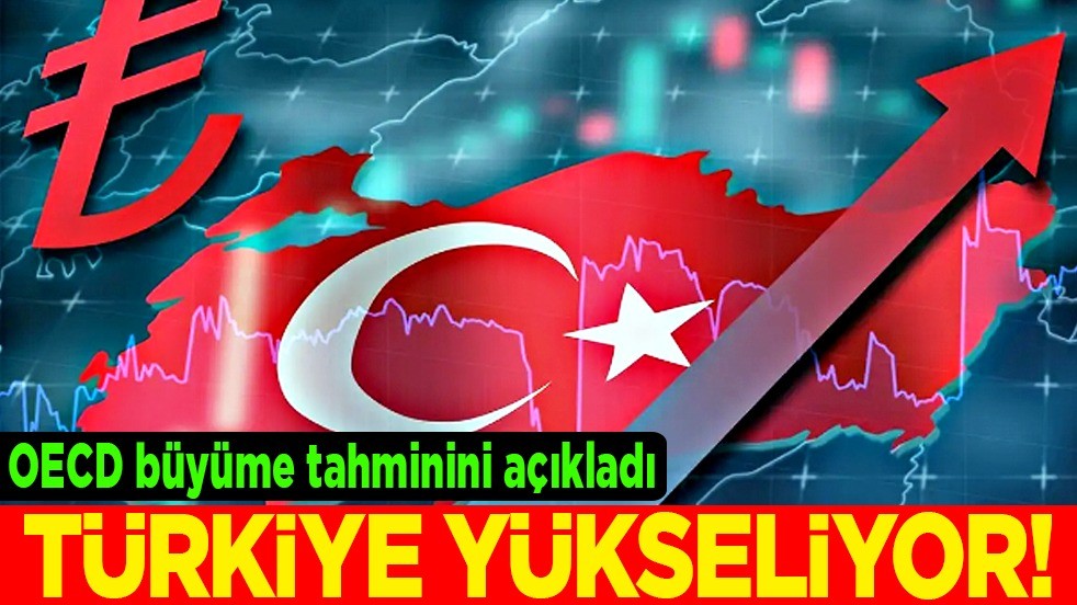 OECD 2026 yılı büyüme tahminlerini yaptı: Dünya yavaşlıyor, Türkiye yükseliyor