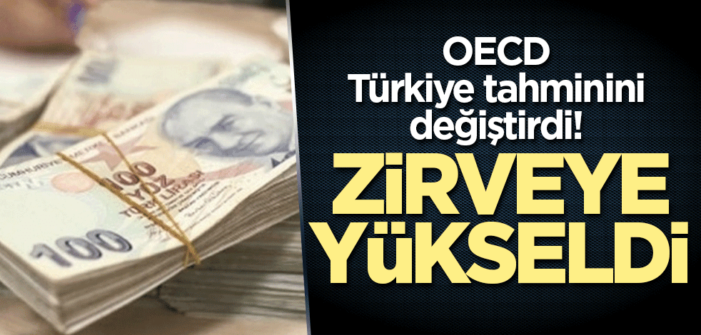 OECD Türkiye tahminini değiştirdi! Zirveye yükseldi