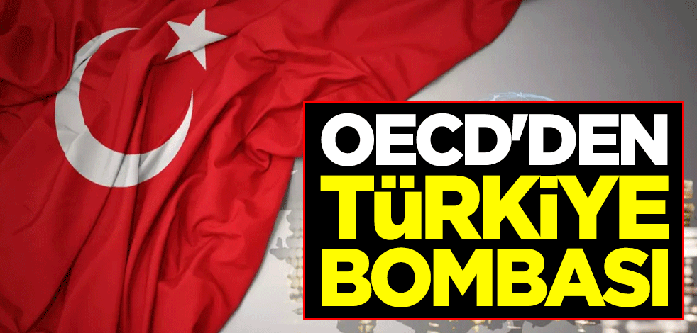 OECD'den Türkiye bombası