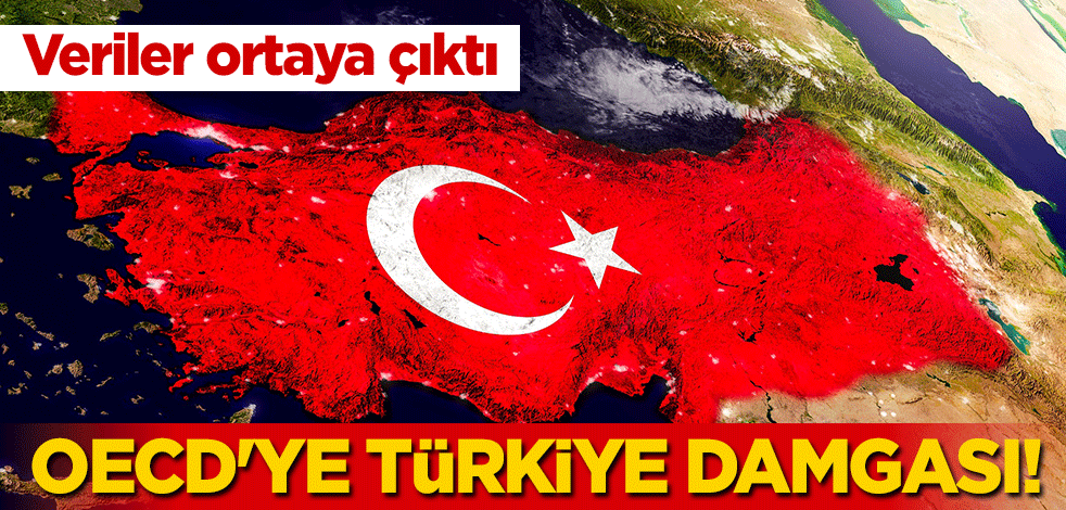 OECD'ye Türkiye damgası! Veriler ortaya çıktı